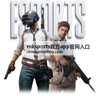 mksports官方app官网入口登录验证步骤说明配图